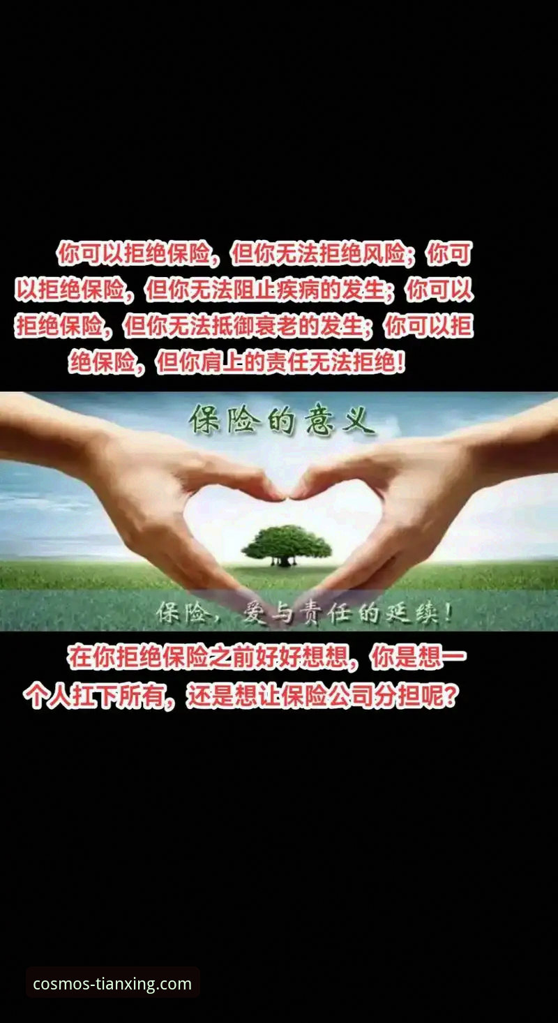 资深用户分享天行体育官网正版使用心得：从入口到App下载的全流程体验